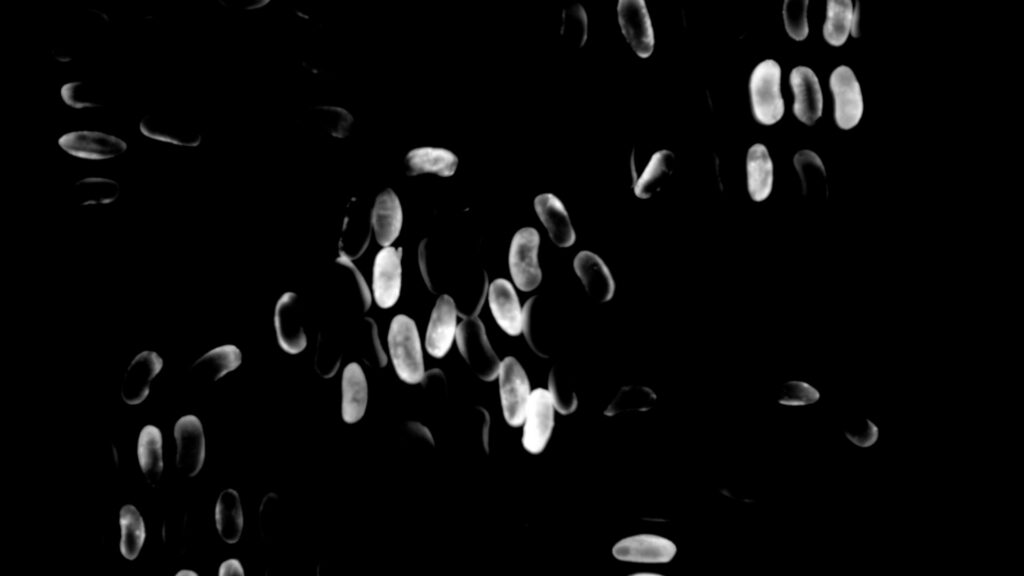 Système d'analyse luminescence Inlux Biotech vue d'ensemble